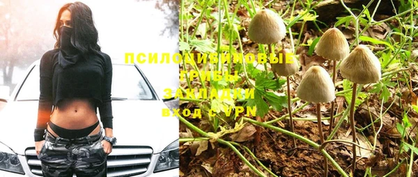 дмт Фурманов