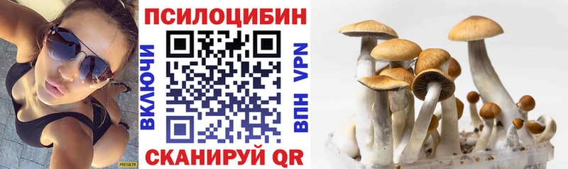 Галлюциногенные грибы Cubensis  Купить где  Черемхово 